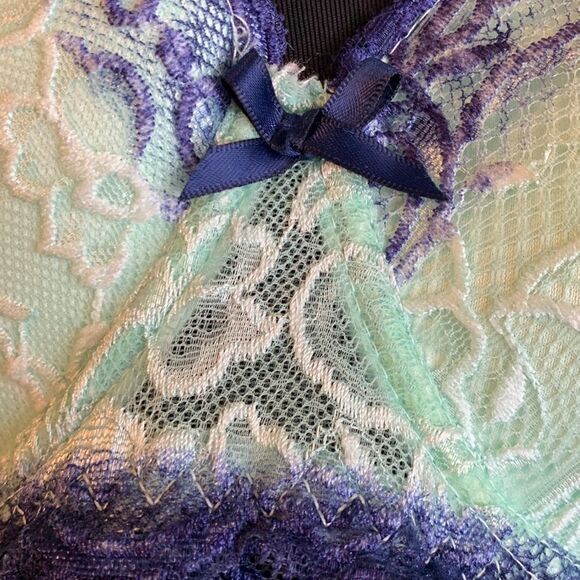 Body Frosting Size 38D bra - Picture 7 of 9